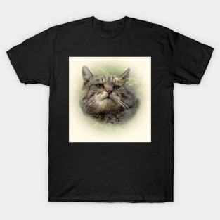 Wild cat T-Shirt